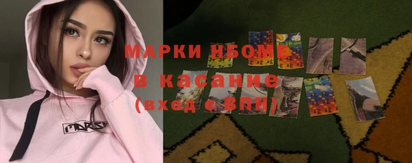 СК Алексин