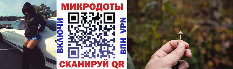 Псилоцибиновые грибы Psilocybine cubensis где можно купить наркотик Солигалич